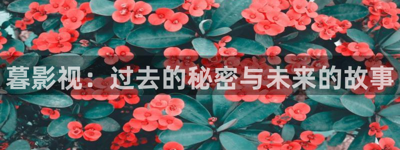 神马红桃影院：暮影视：过去的秘密与未来的故事
