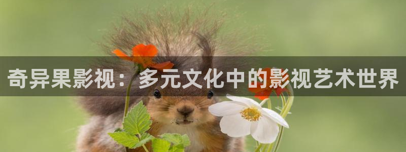 红桃视频在线电影