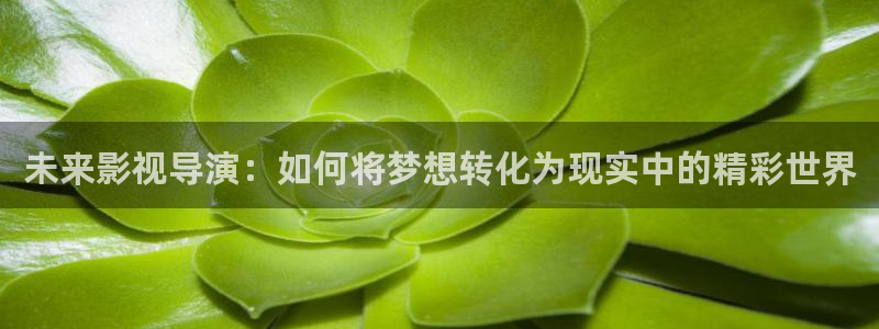 红桃视频app.