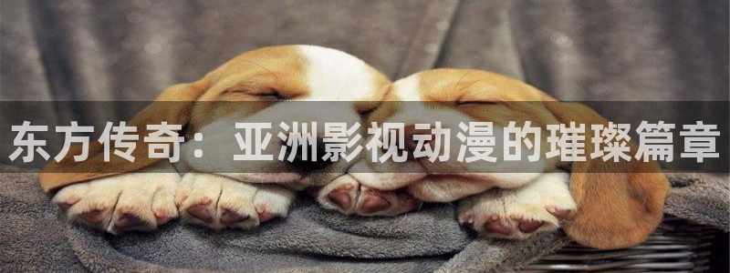 红桃影视在线