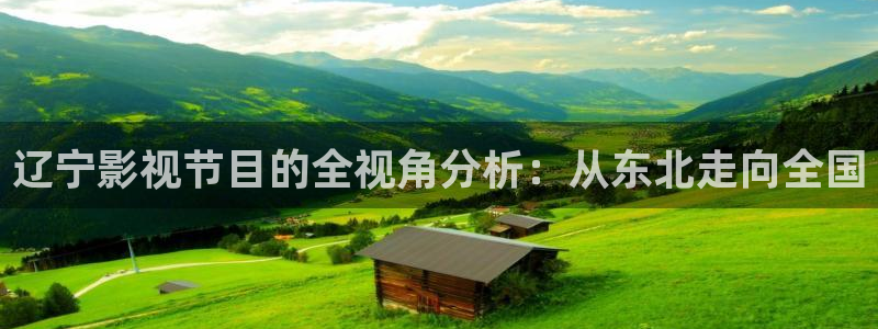 红桃影院www：辽宁影视节目的全视角分析：从东北走向全国